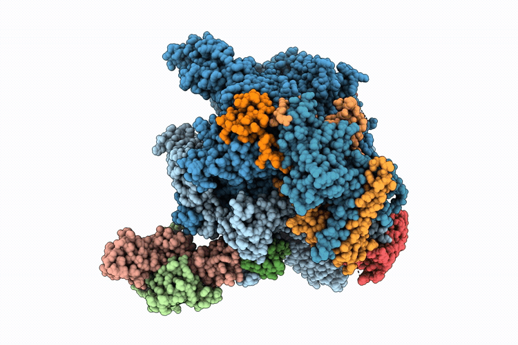 9W8V image
