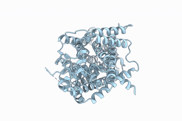 9W9B image