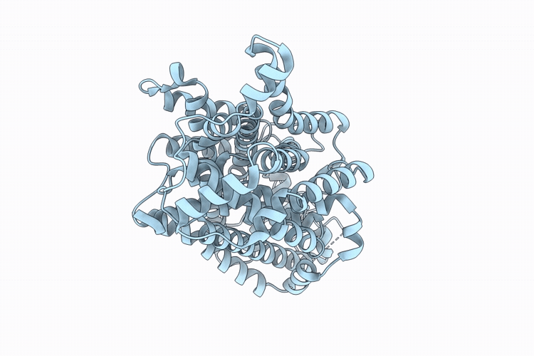 9W9C image