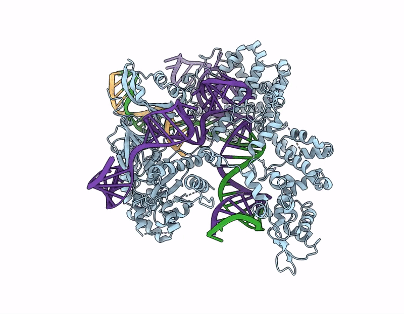 9W9D image