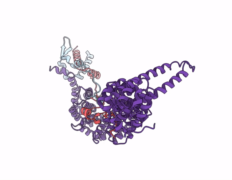 9W9H image