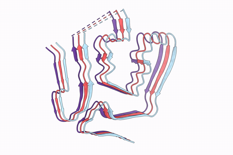 9W9K image