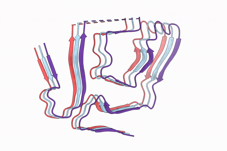 9W9L image