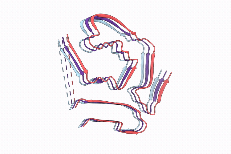 9W9O image