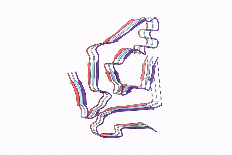 9W9R image