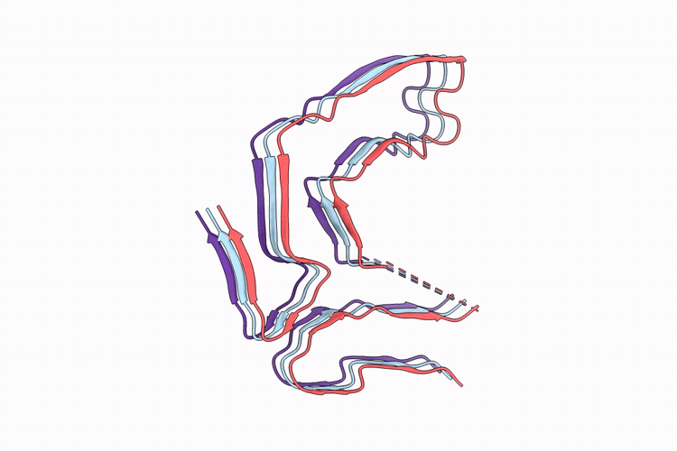 9W9T image