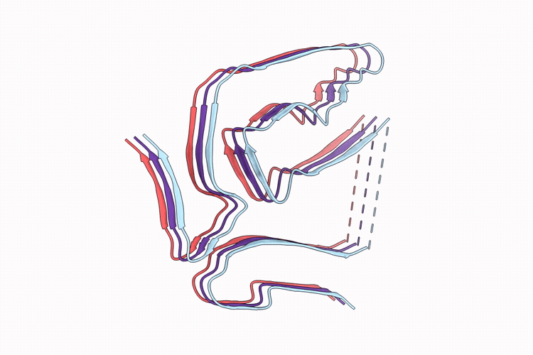 9W9X image