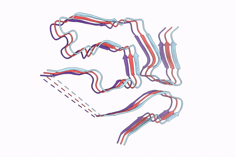 9W9Z image