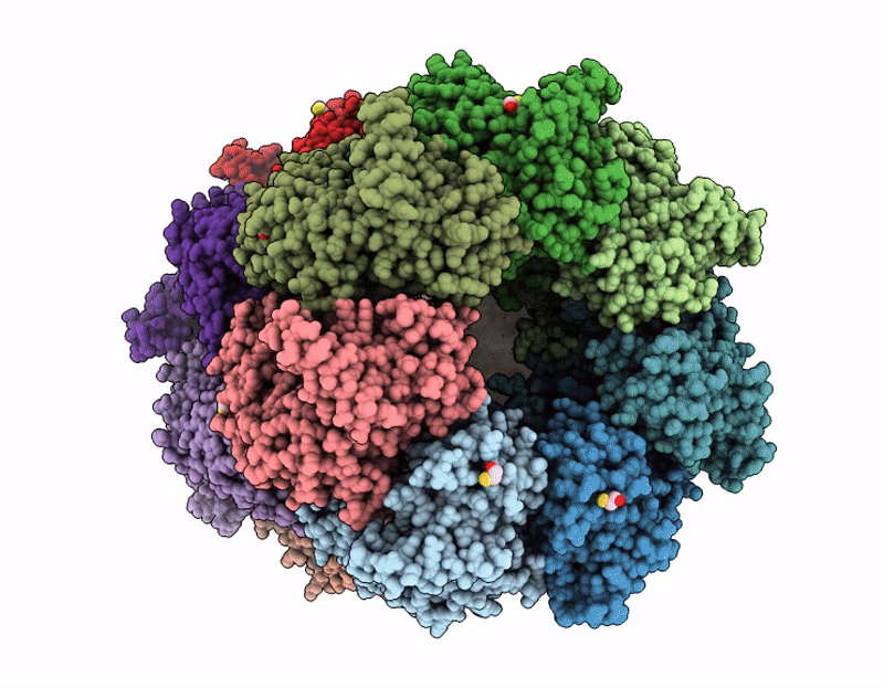 9WBT image