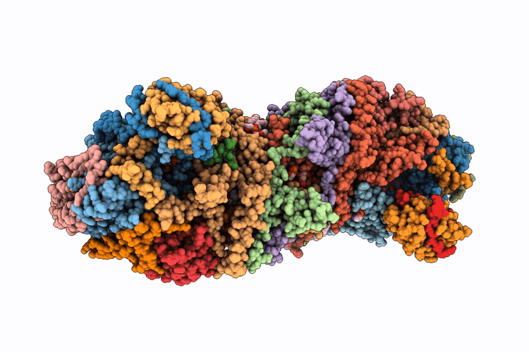 9WCX image