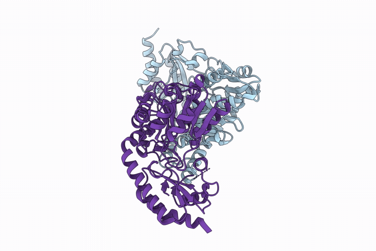 9WEP image