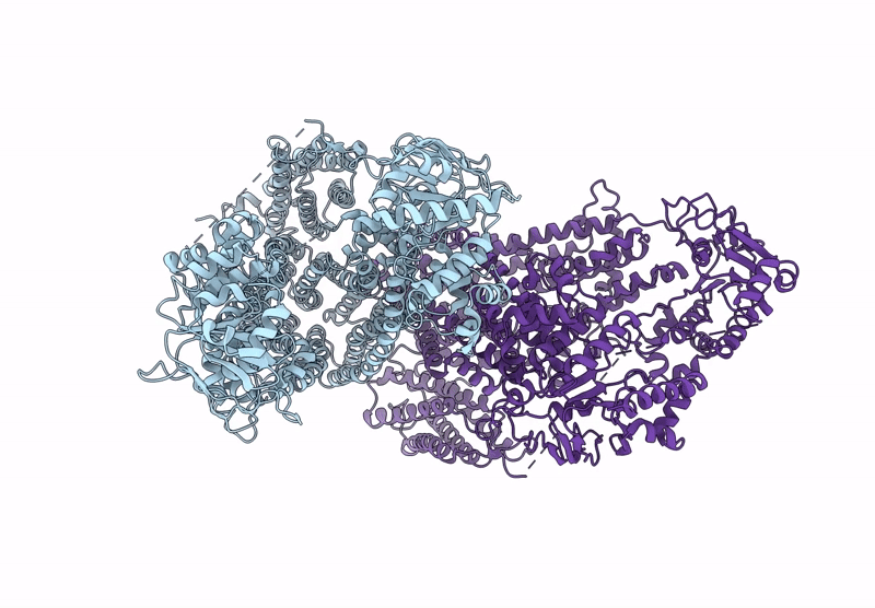 9WFQ image