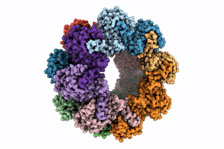 9WGB image