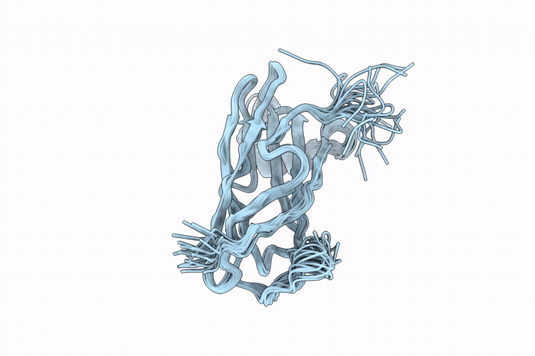 9WGH image
