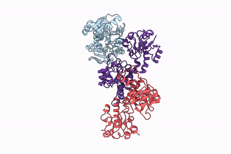 9WHB image