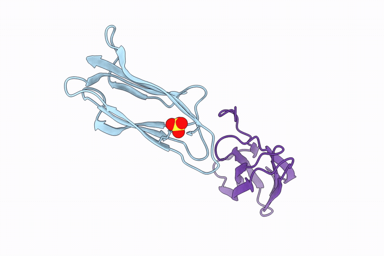 9WIA image
