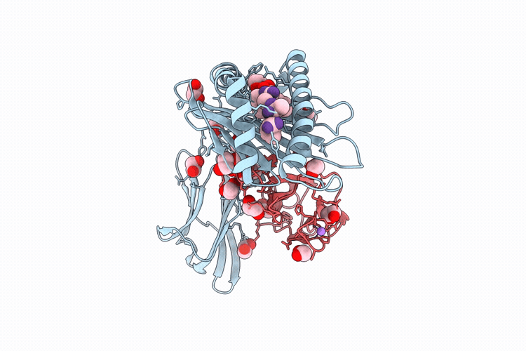 9WJ2 image