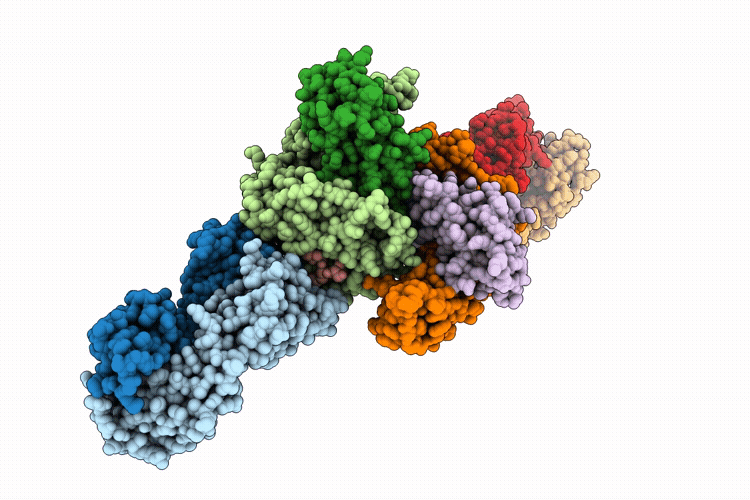 9WJ6 image
