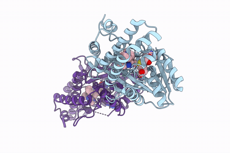9WJ7 image