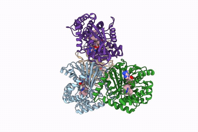 9WJ8 image