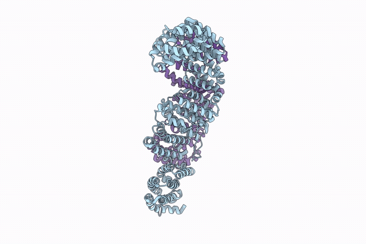 9WJS image