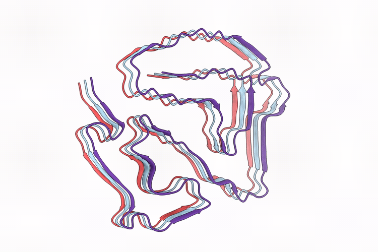 9WL5 image