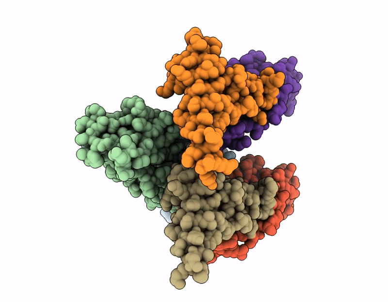 9WLP image