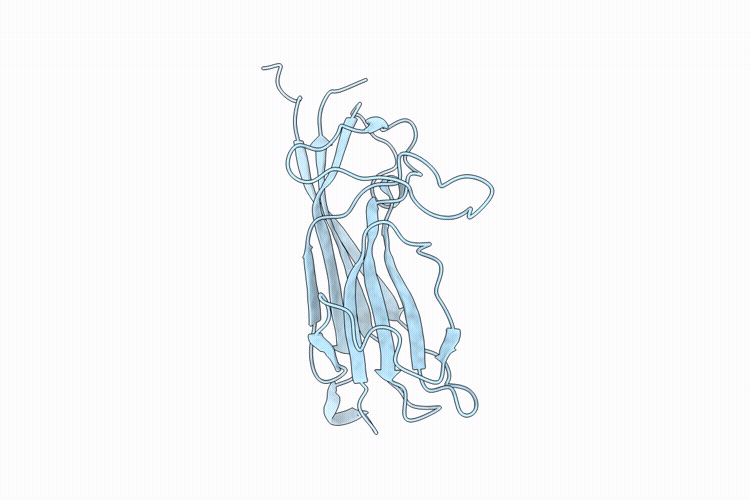 9WMR image