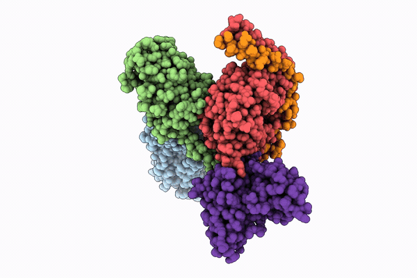 9WPX image