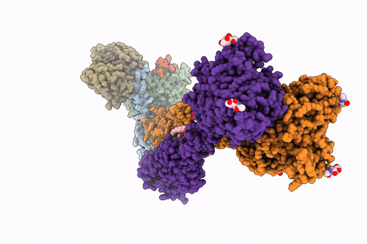 9WQM image