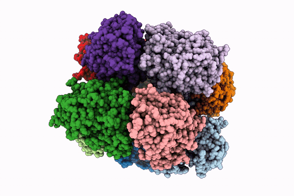 9WRM image
