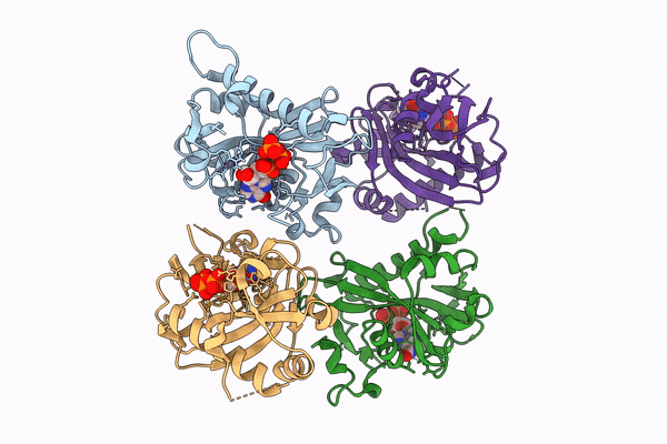 9WRZ image