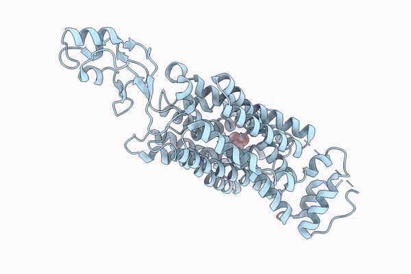 9WTX image
