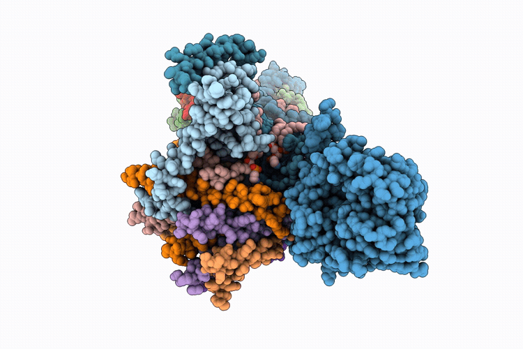 9WV1 image