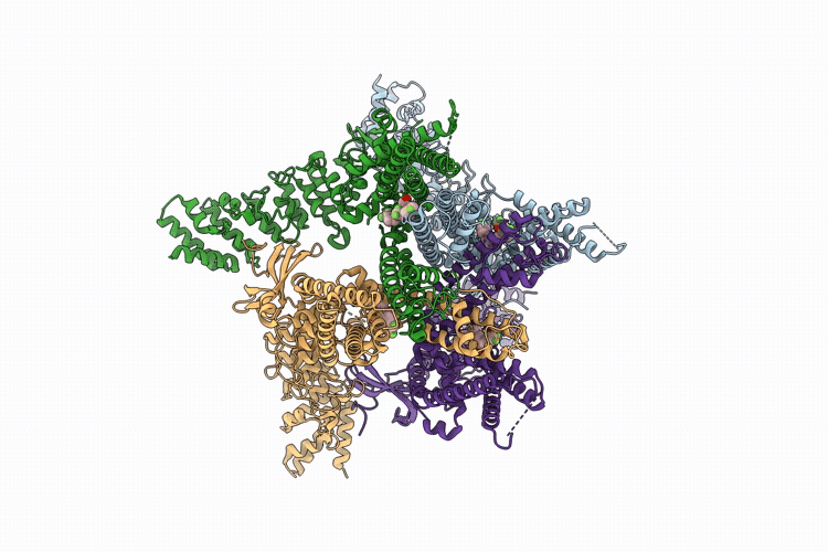 9WV6 image