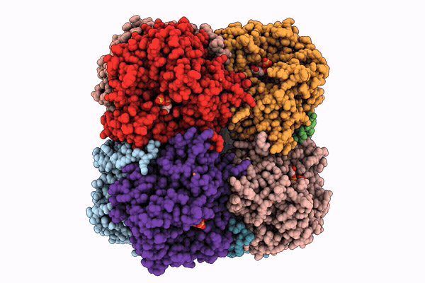 9WV9 image