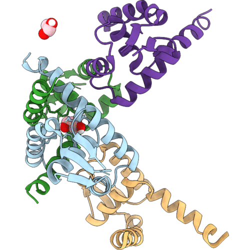 9WVG image