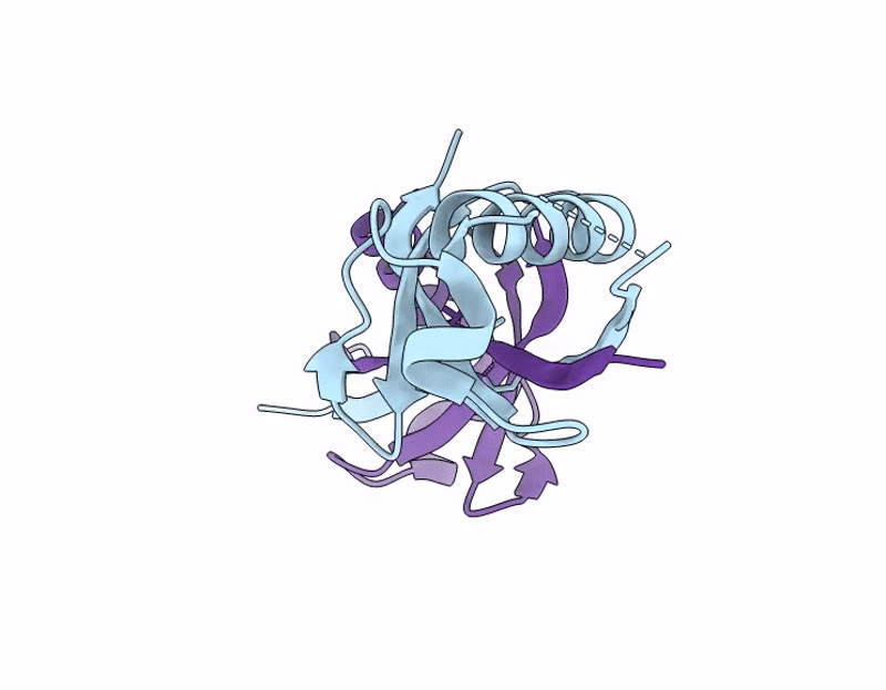 9WVH image
