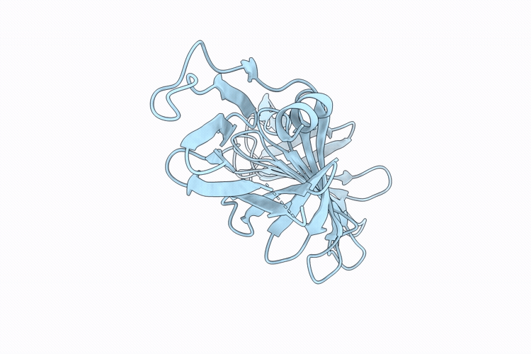 9WVV image