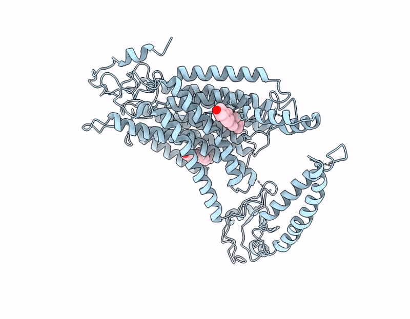 9WXV image