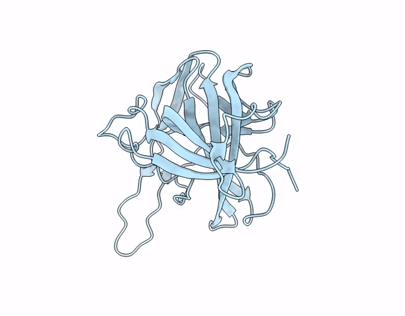 9WYG image