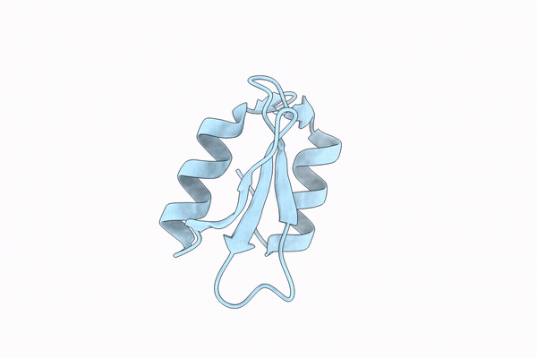 9WYY image