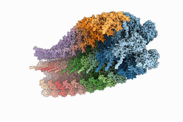 9X3P image