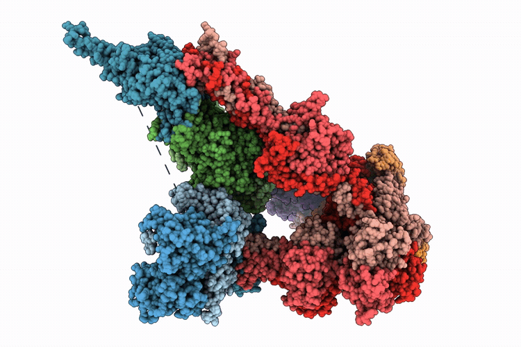 9X3R image