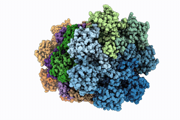 9X4E image