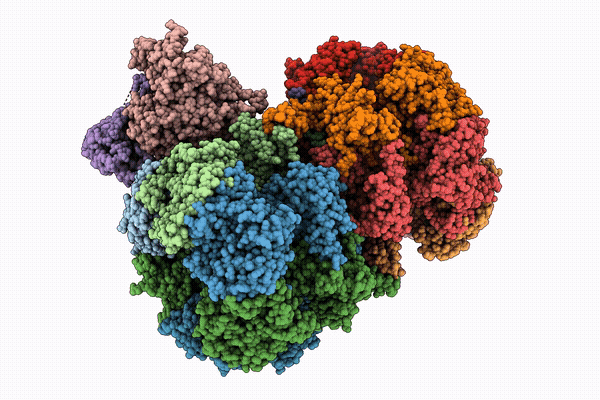 9X4L image