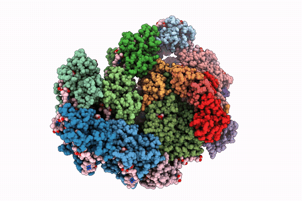 9X4P image