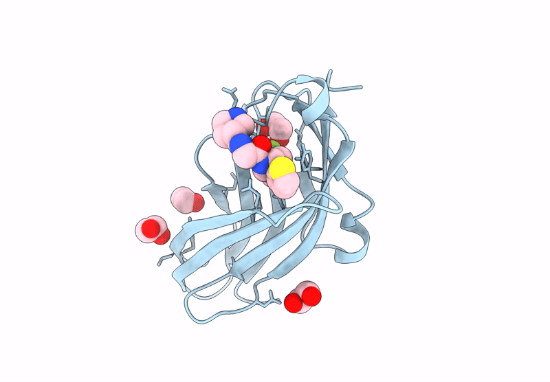 9X53 image