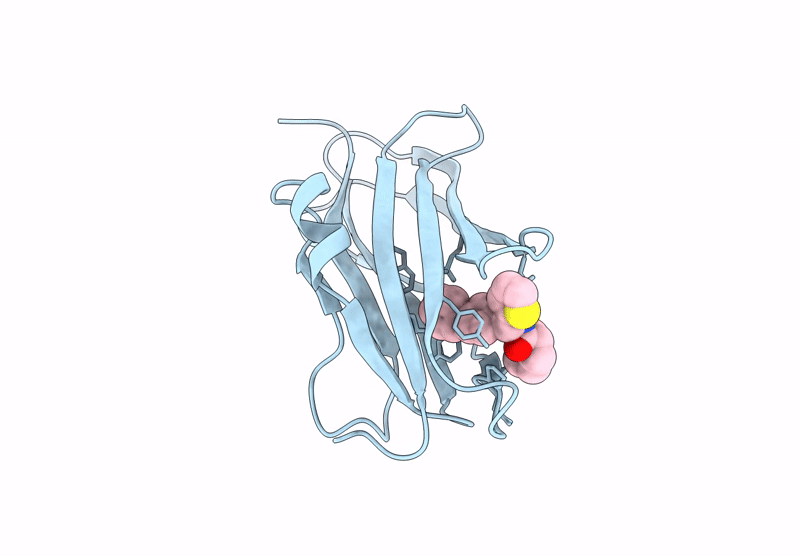 9X55 image