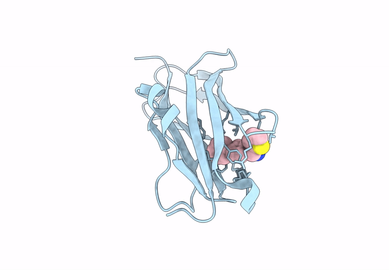 9X59 image